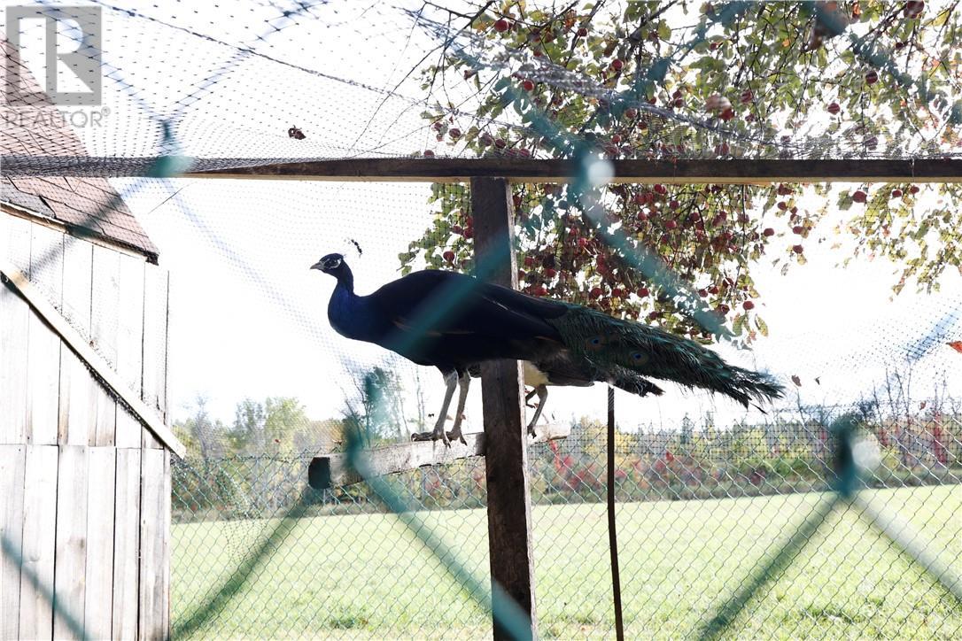 395 North Channel Drive, Little Current, ON