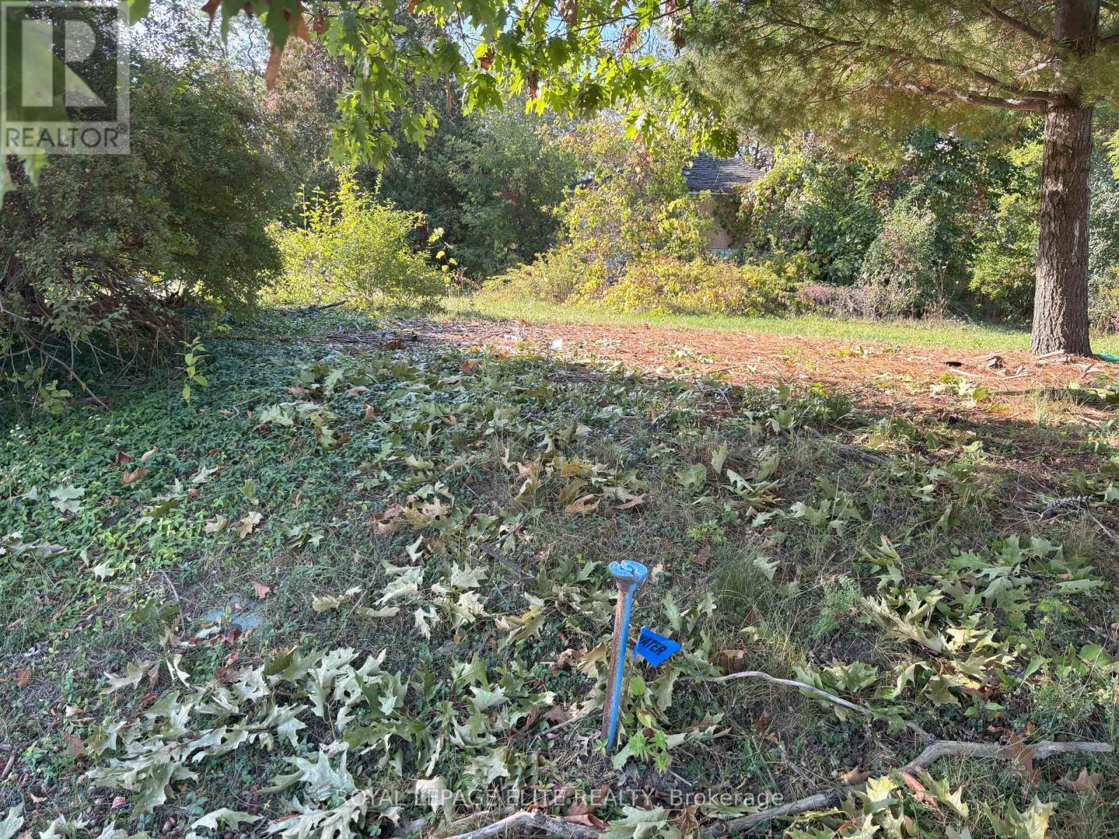 1631 Eglinton Avenue W, Mississauga, ON - Outdoor