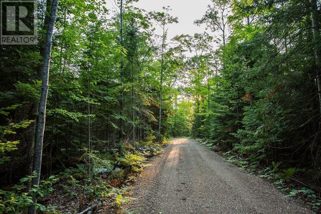 Lot 28 Richmond Bay Rd, Hilton Township, St. Joseph Island, ON