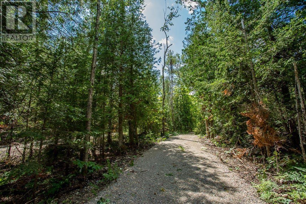 Lot 28 Richmond Bay Rd, Hilton Township, St. Joseph Island, ON