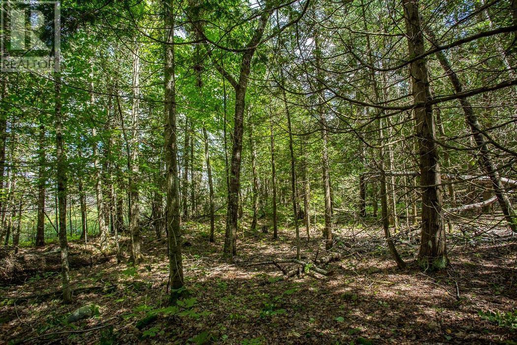 Lot 28 Richmond Bay Rd, Hilton Township, St. Joseph Island, ON