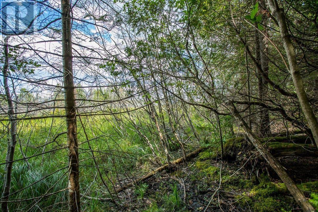 Lot 28 Richmond Bay Rd, Hilton Township, St. Joseph Island, ON