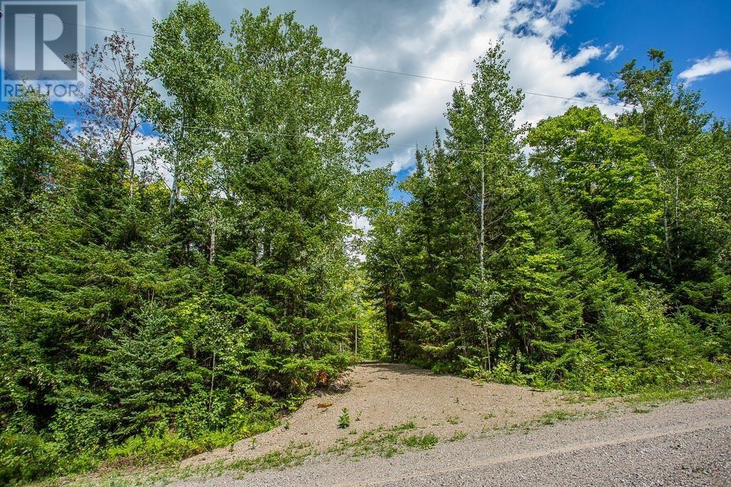 Lot 28 Richmond Bay Rd, Hilton Township, St. Joseph Island, ON