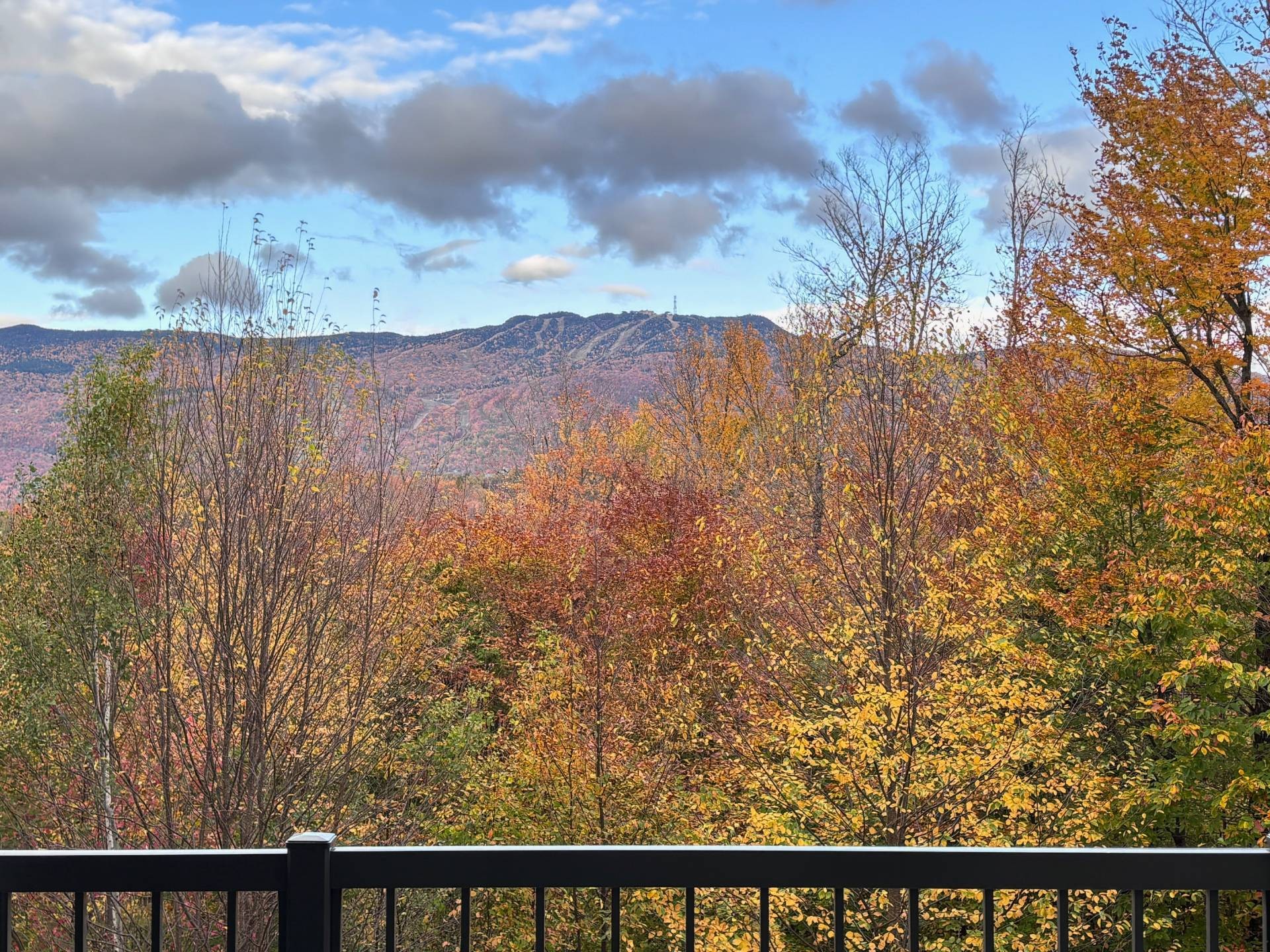 View - 10-270 Rue Du Mont-Plaisant, Mont-Tremblant, QC - Outdoor With View