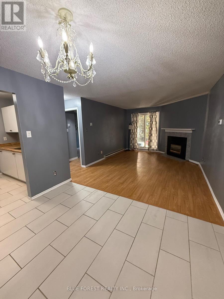 111 - 2228 Trafalgar Street, London East (East I), ON - Indoor Photo Showing Other Room With Fireplace