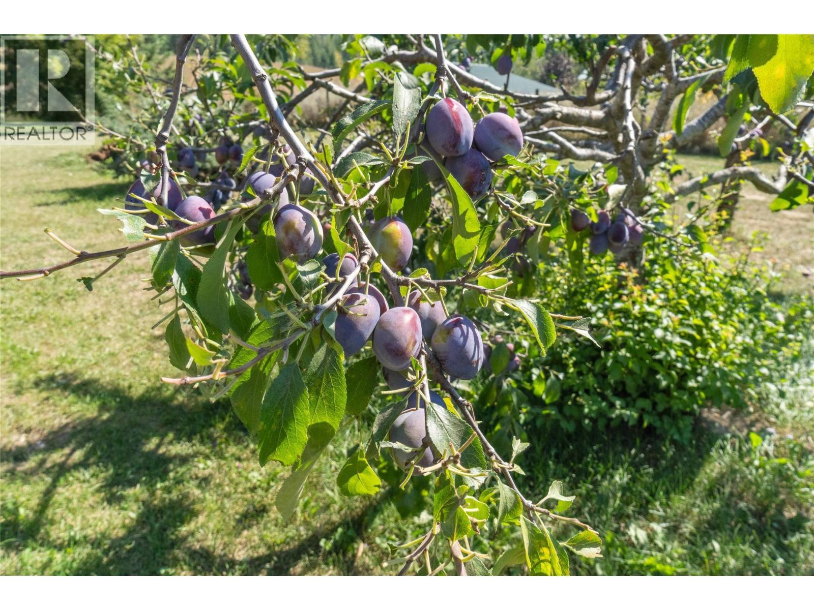 1168 Mallory Road Se, Enderby, BC -