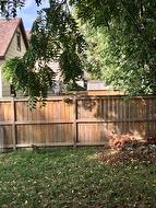 Some Updated Fencing and Shady Yard -