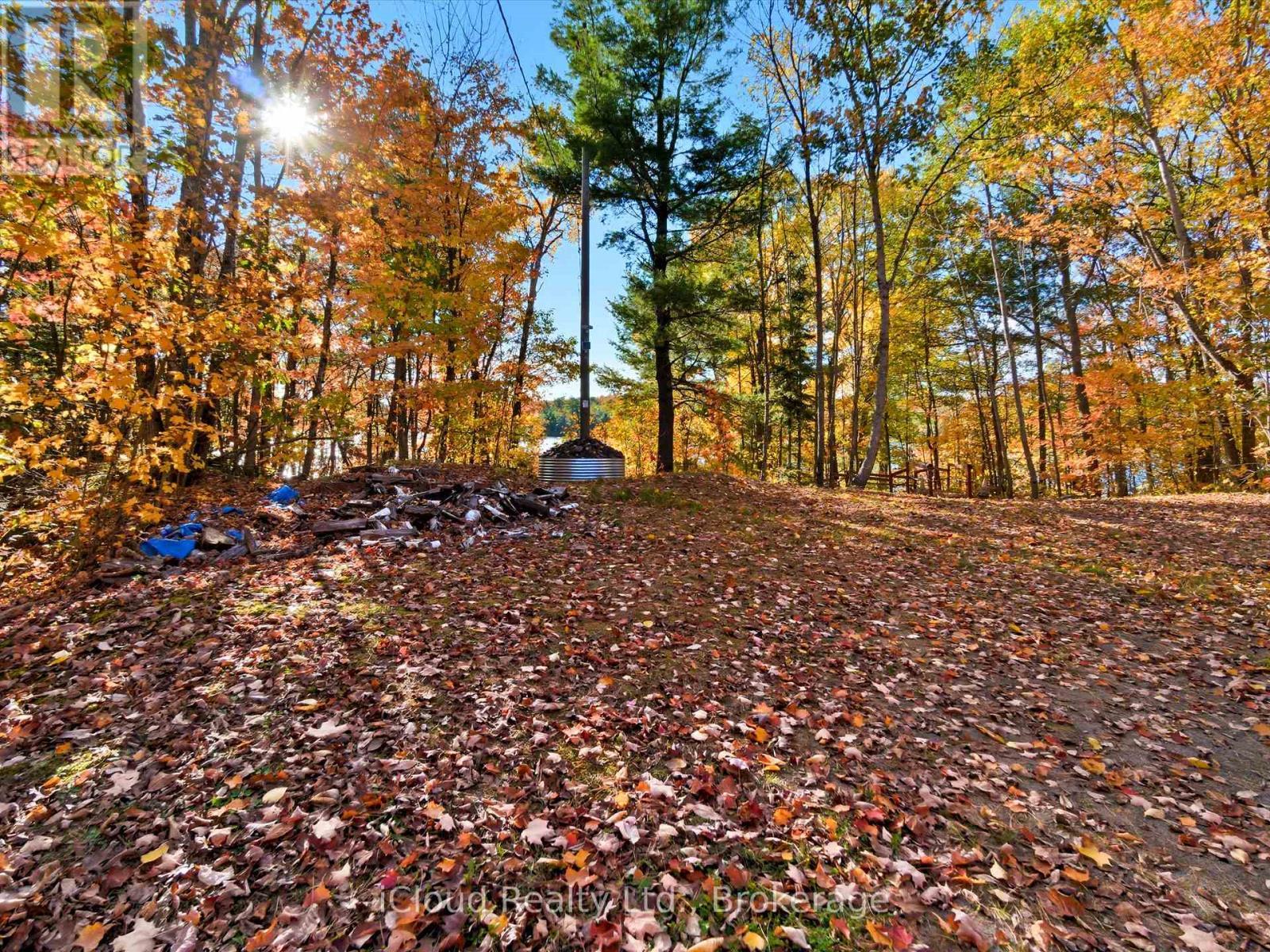 1128 124 Highway, Whitestone, ON - Outdoor