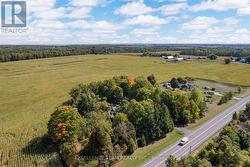 Privacy on a treed property -