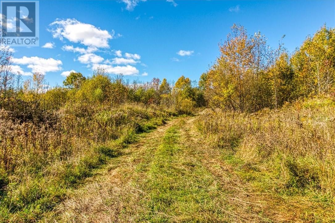 Lot 1 Leonard Avenue S, Dowling, ON