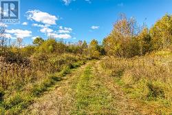 Lot 1 Leonard Avenue S Dowling, ON P0M 1R0