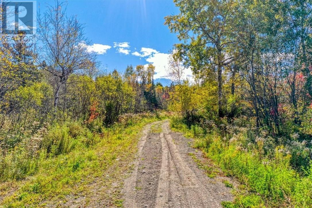 Lot 1 Leonard Avenue S, Dowling, ON