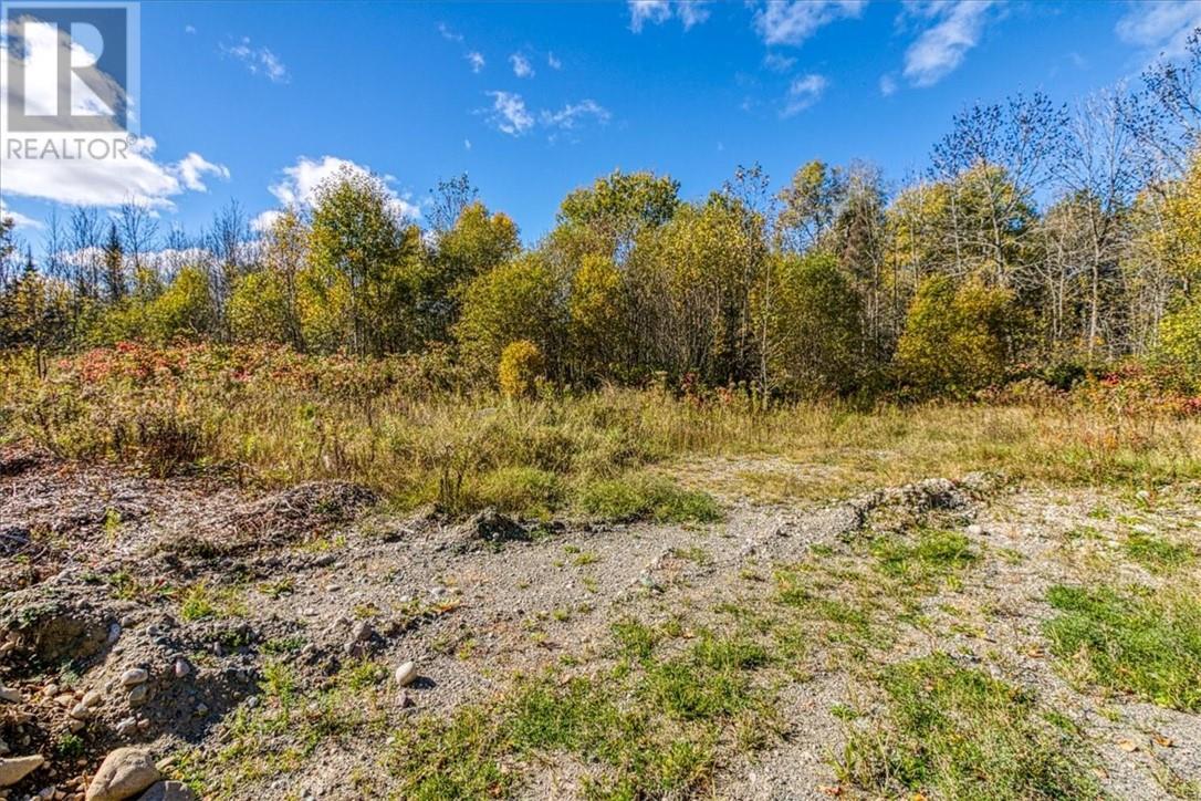 Lot 1 Leonard Avenue S, Dowling, ON
