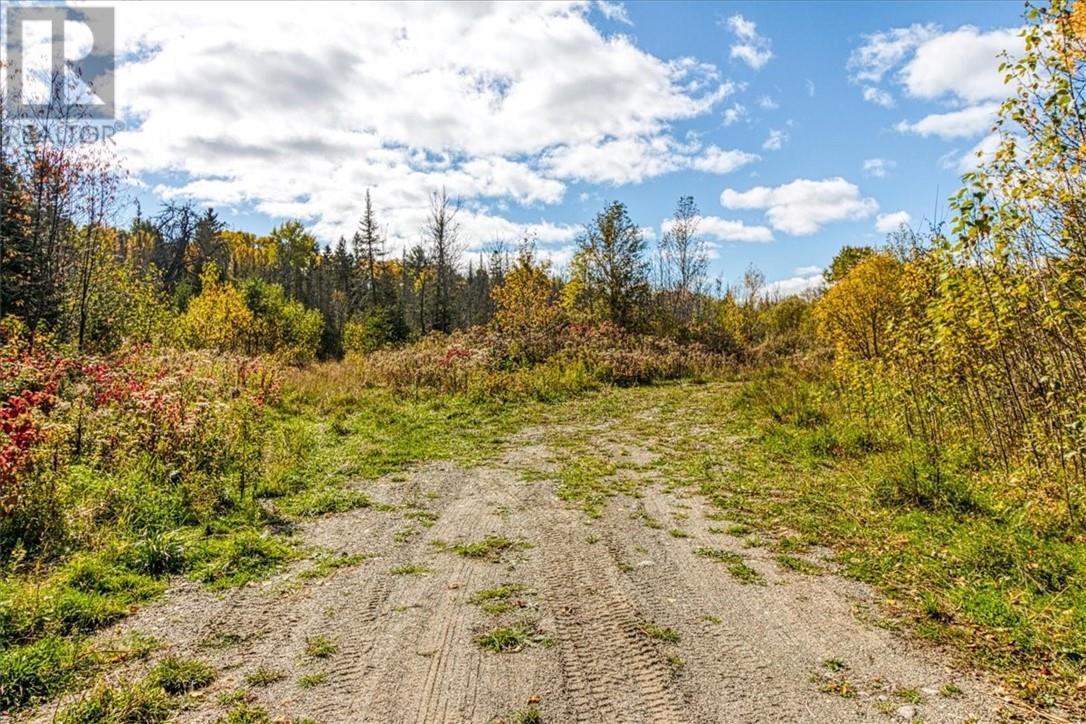 Lot 1 Leonard Avenue S, Dowling, ON