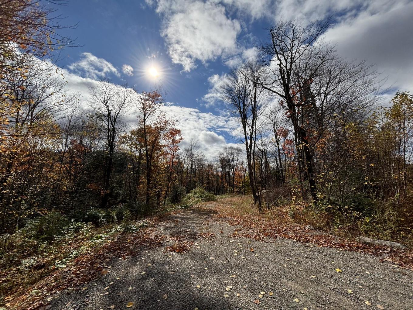 Land/Lot - Ch. Adélard, Lac-Supérieur, QC