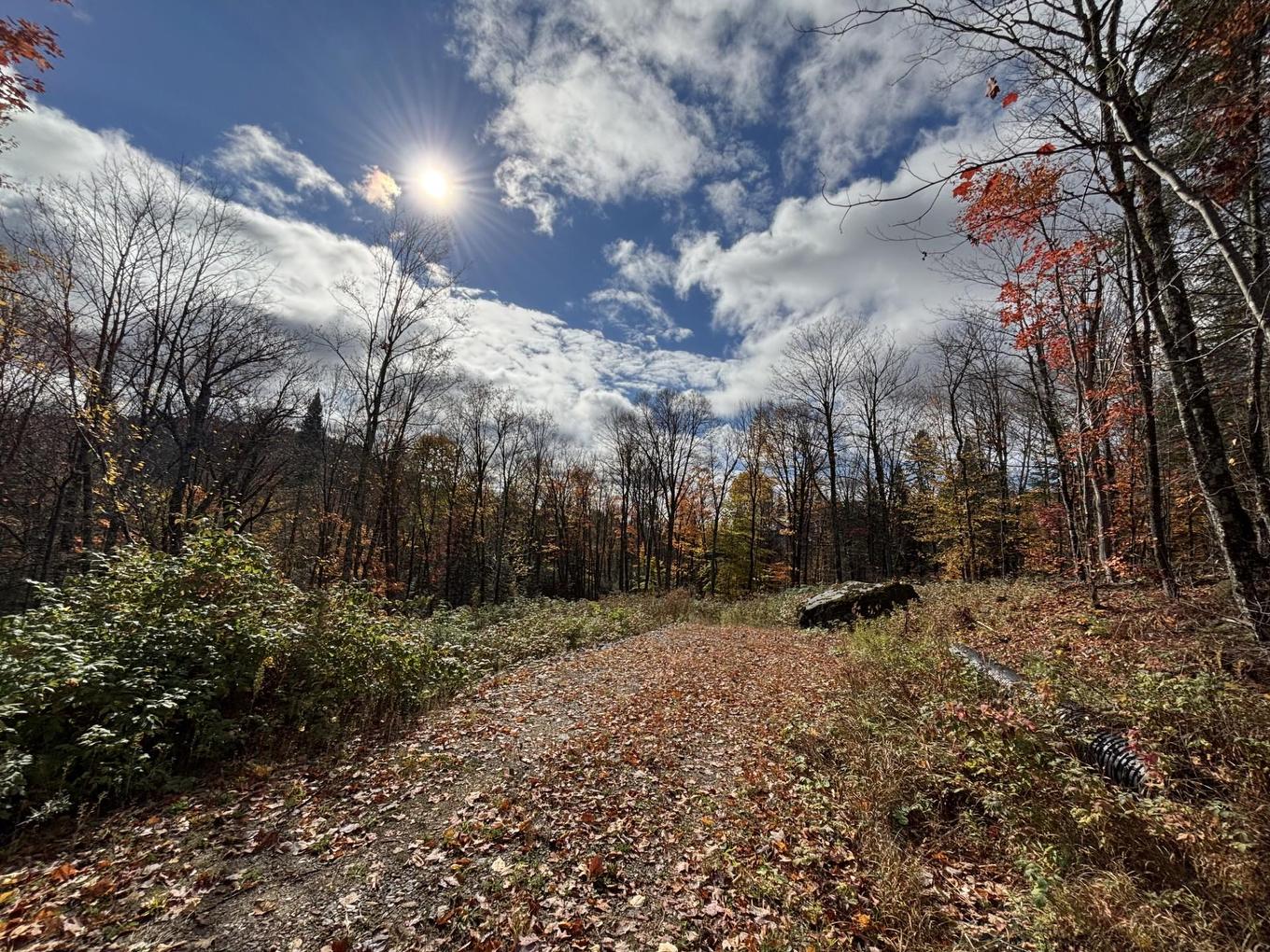 Land/Lot - Ch. Adélard, Lac-Supérieur, QC
