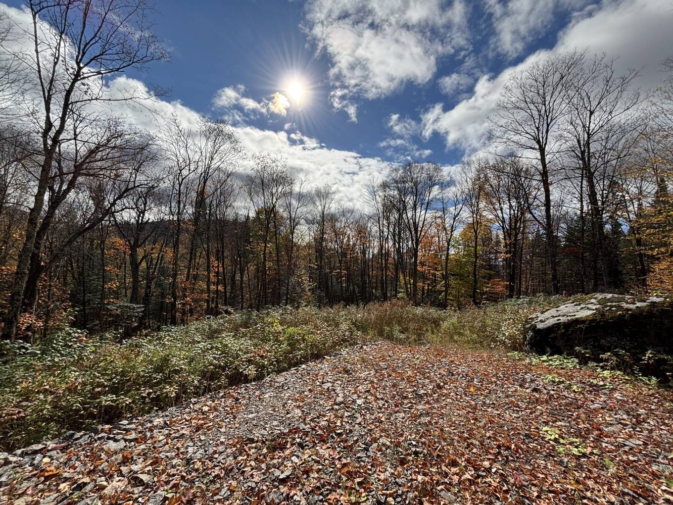 Land/Lot - Ch. Adélard, Lac-Supérieur, QC