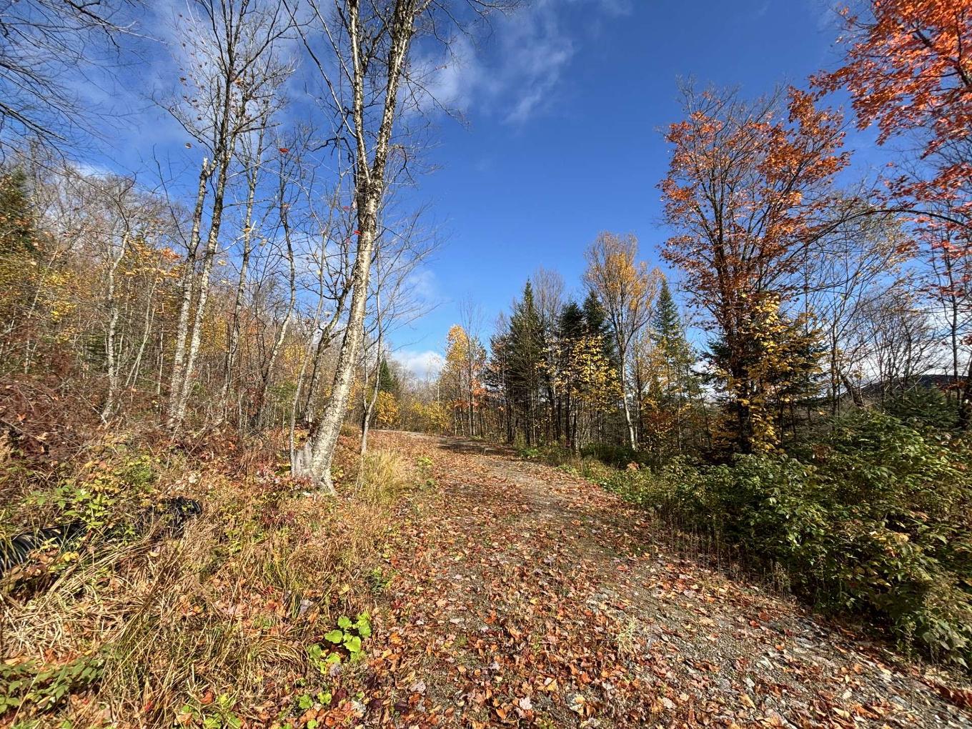 Land/Lot - Ch. Adélard, Lac-Supérieur, QC
