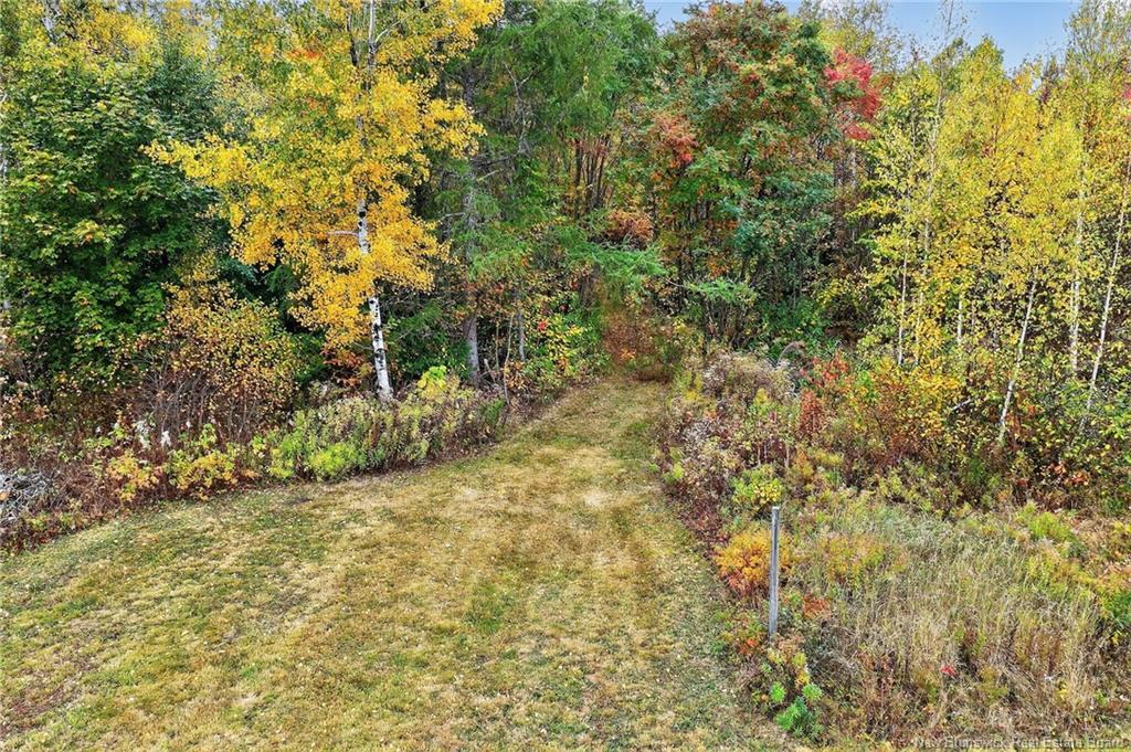 77 Carleton St, Rogersville, NB