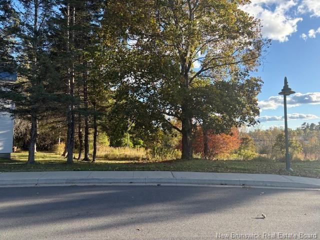 0 Elm Park, Saint Stephen, NB