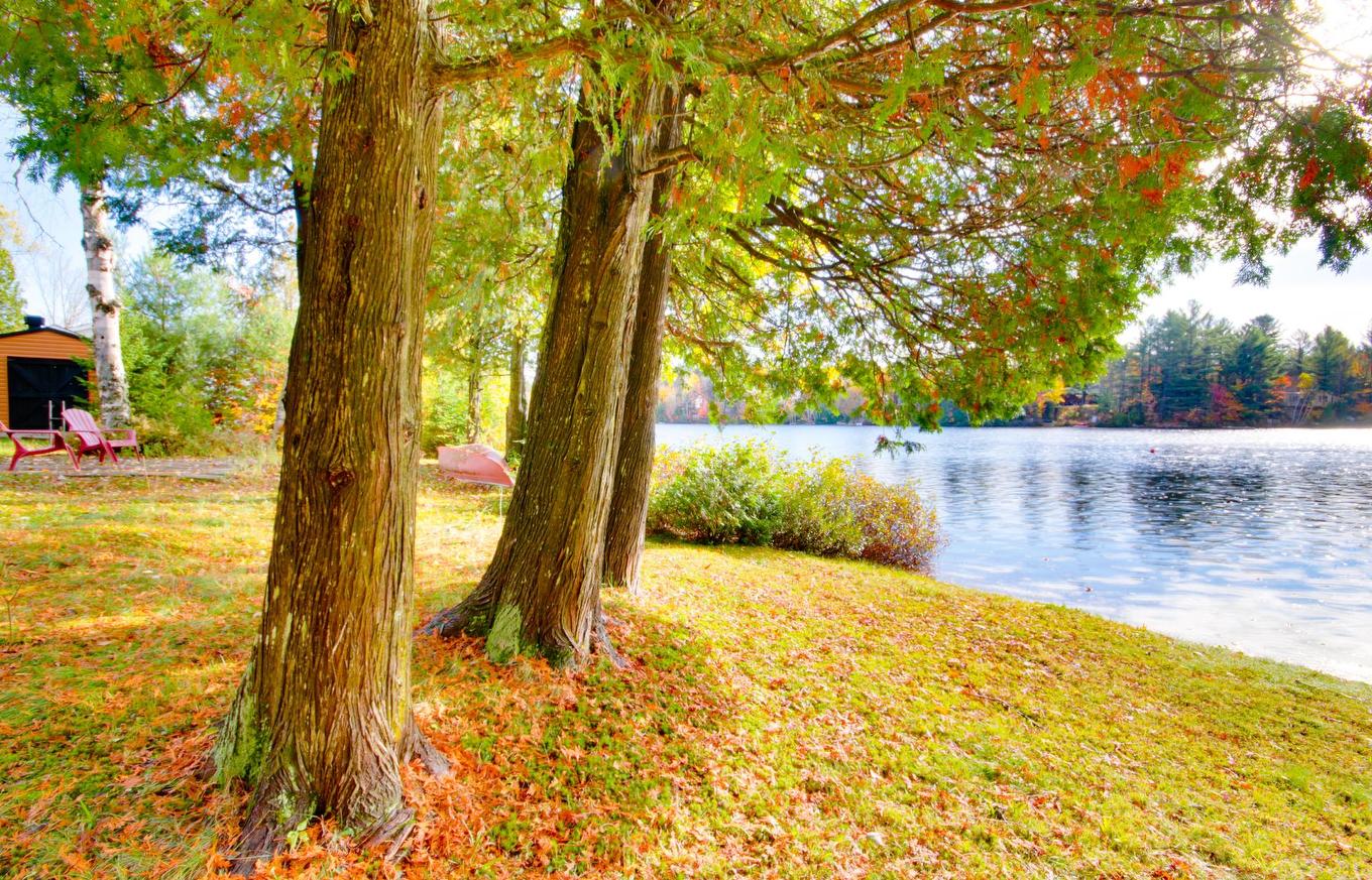 Water view - 251 Ch. De La Chapelle, Saint-Mathieu-Du-Parc, QC - Outdoor With View