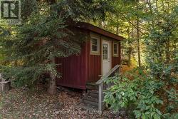 Bunkie -