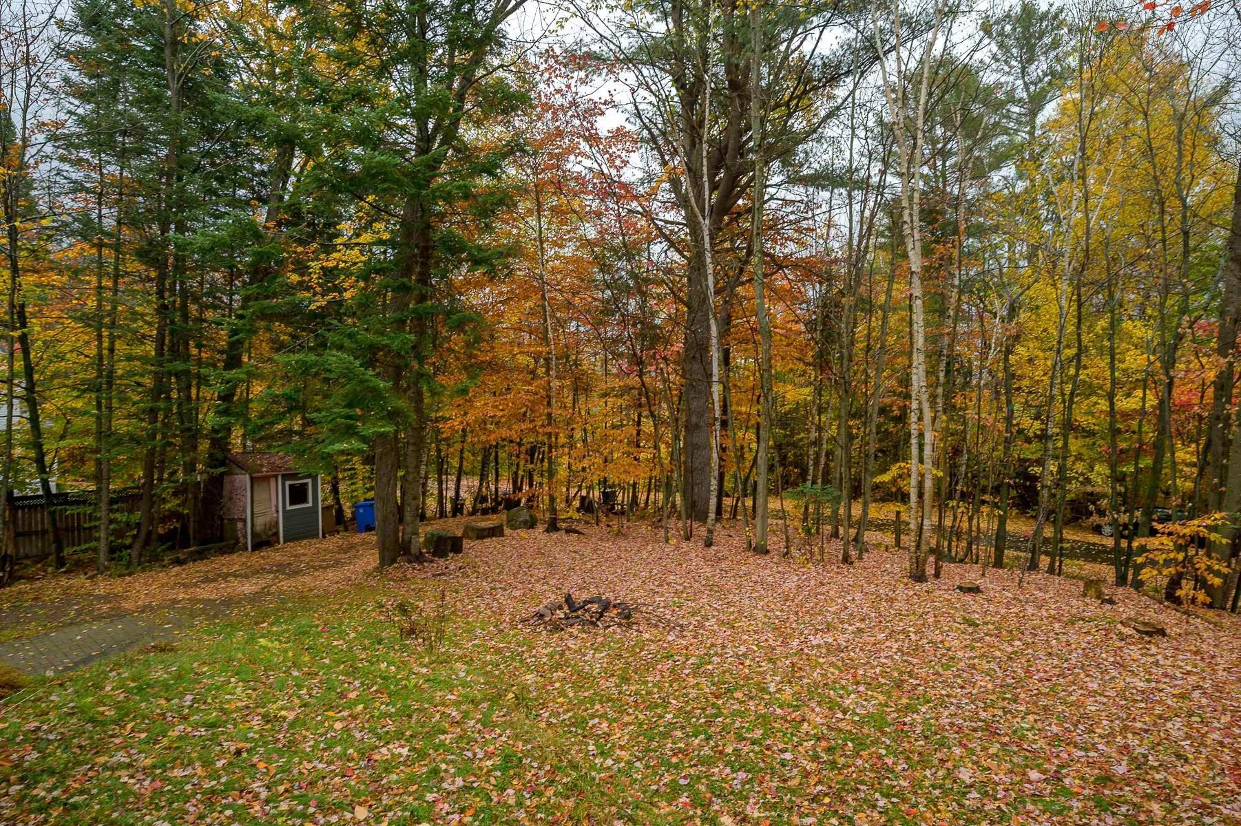 Cour - 870Az - 870Z Rue De L'Olympiade, Sainte-Adèle, QC - Outdoor