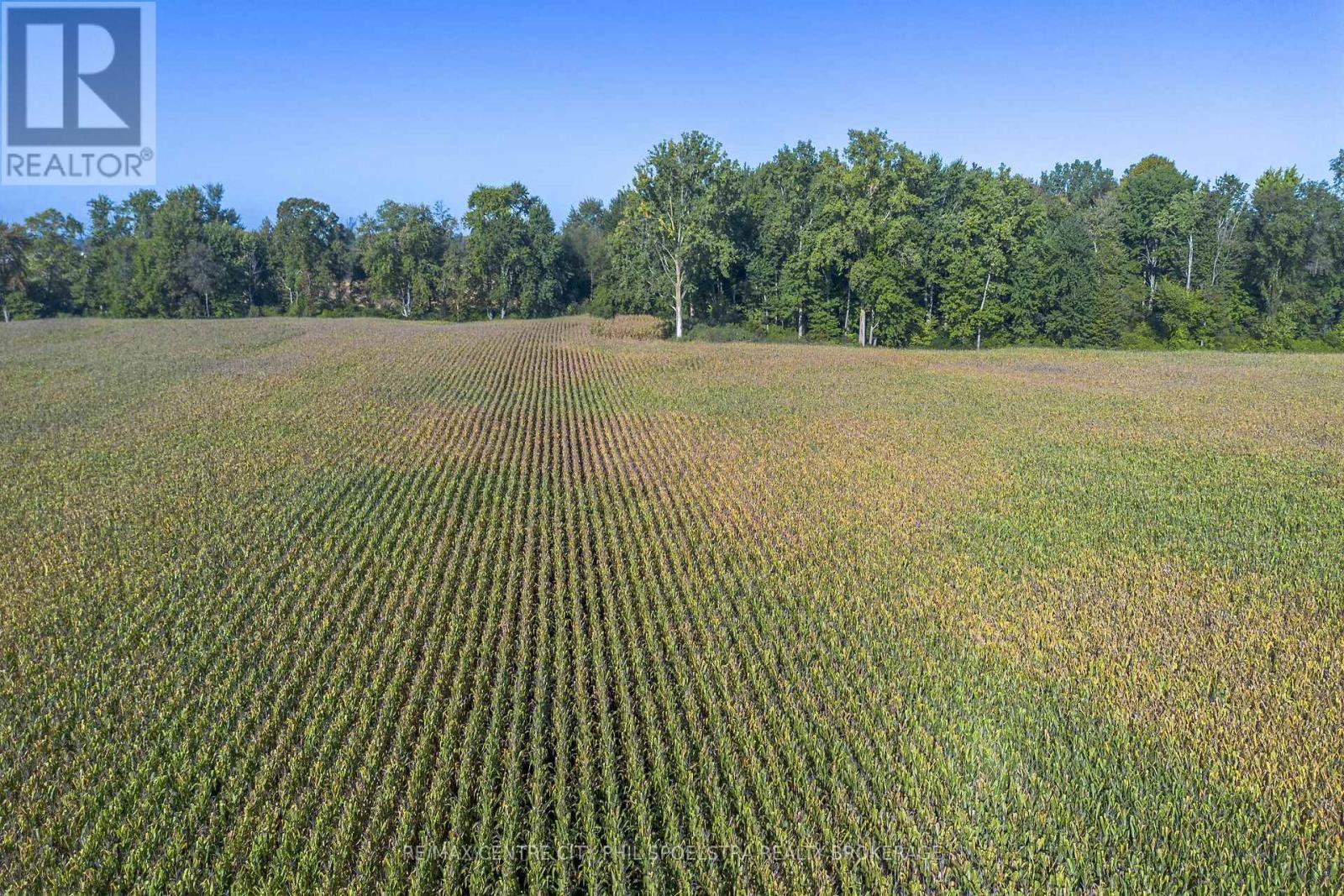 29182 Zone 4 Road, Chatham-Kent (Thamesville), ON