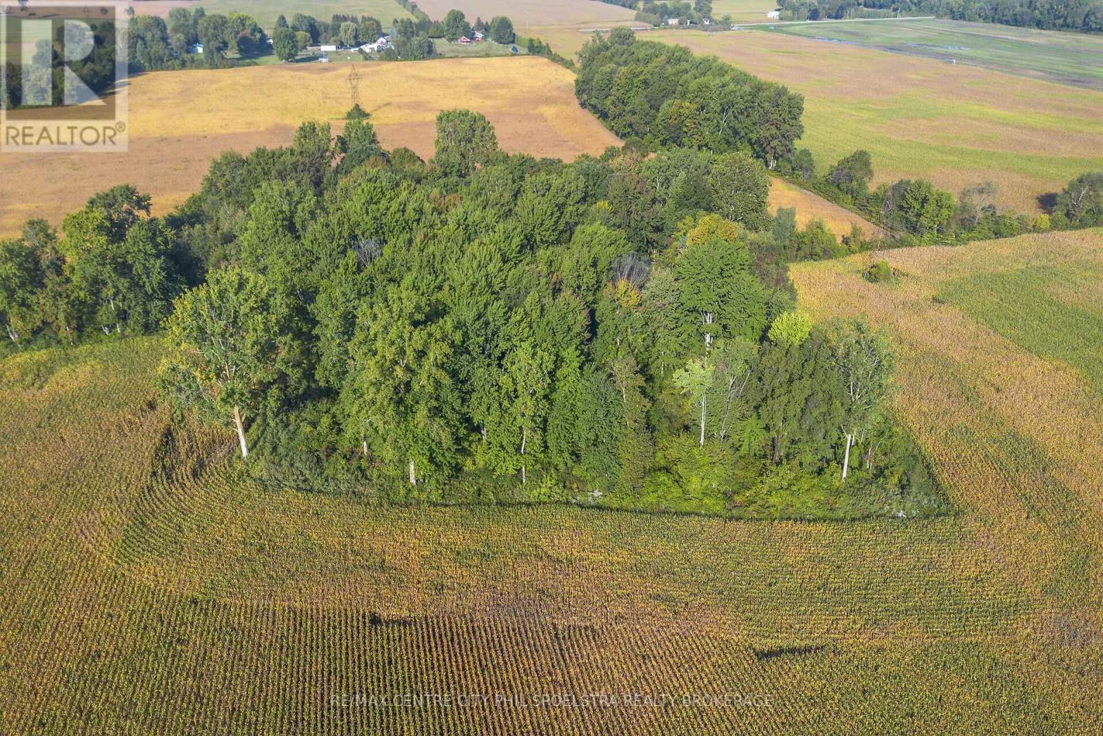 29182 Zone 4 Road, Chatham-Kent (Thamesville), ON