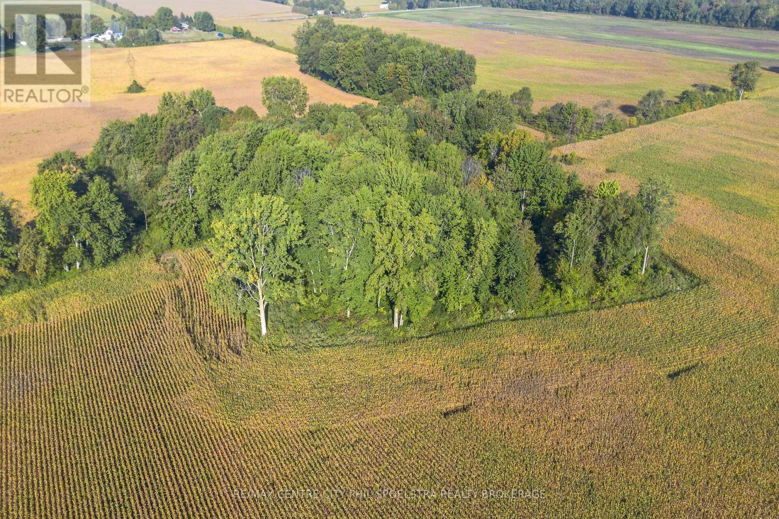 29182 Zone 4 Road, Chatham-Kent (Thamesville), ON