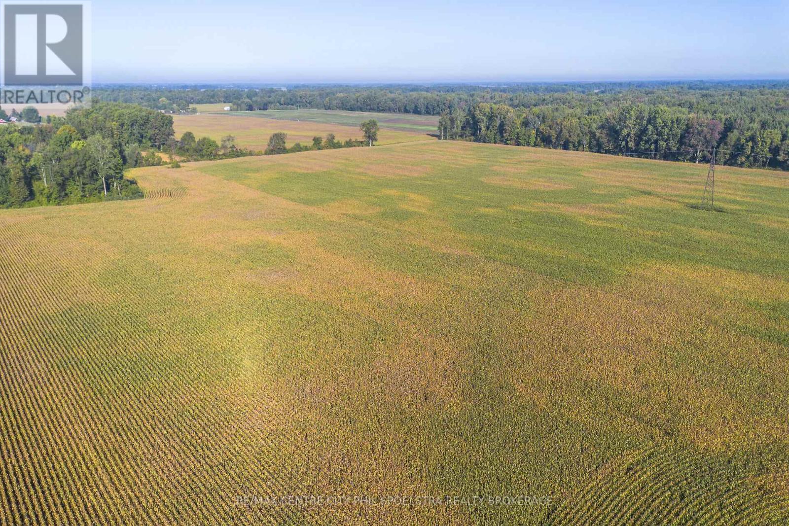 29182 Zone 4 Road, Chatham-Kent (Thamesville), ON