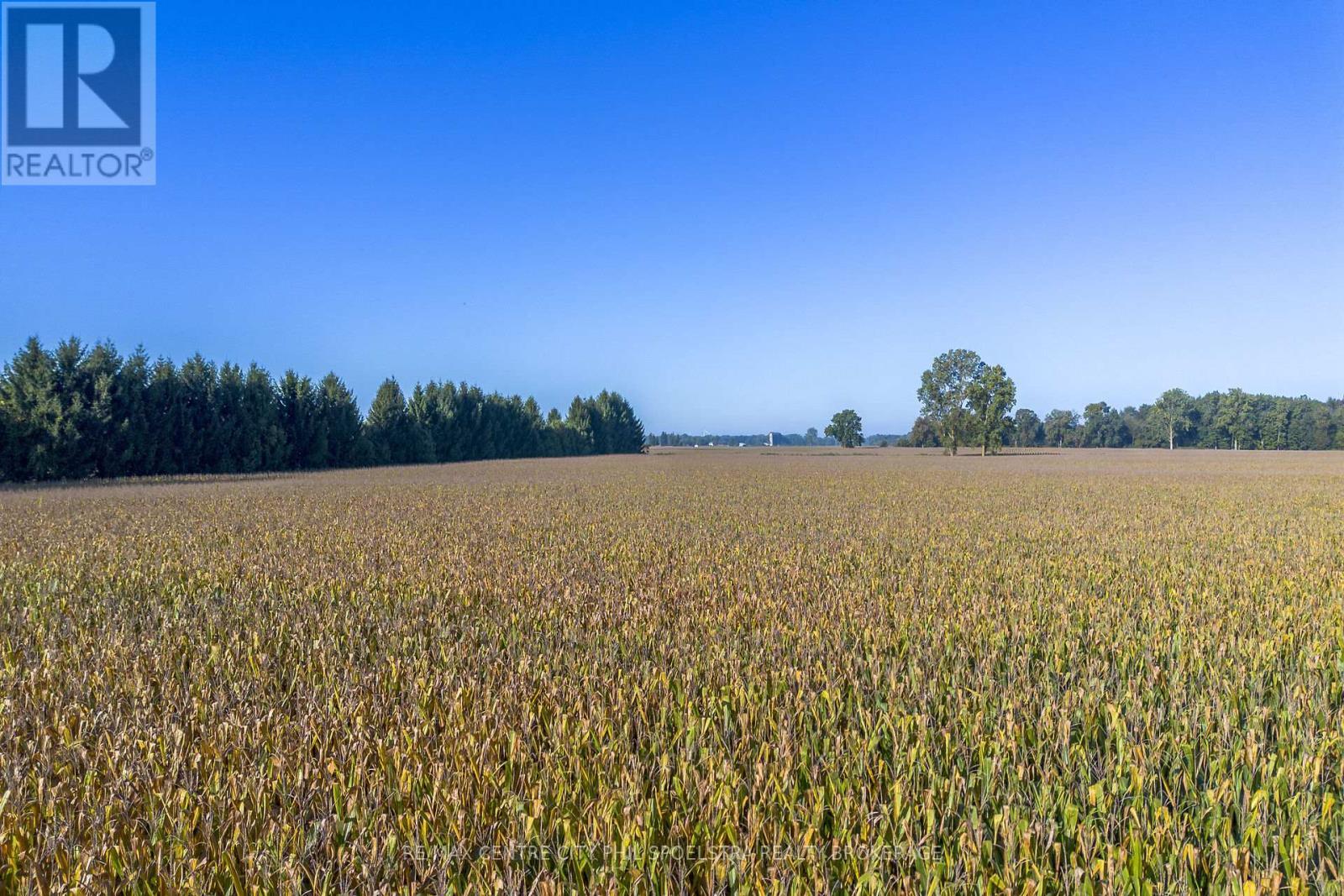 29182 Zone 4 Road, Chatham-Kent (Thamesville), ON