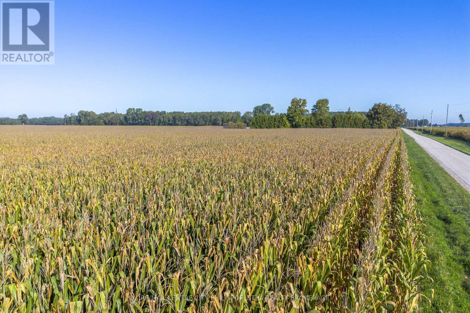 29182 Zone 4 Road, Chatham-Kent (Thamesville), ON