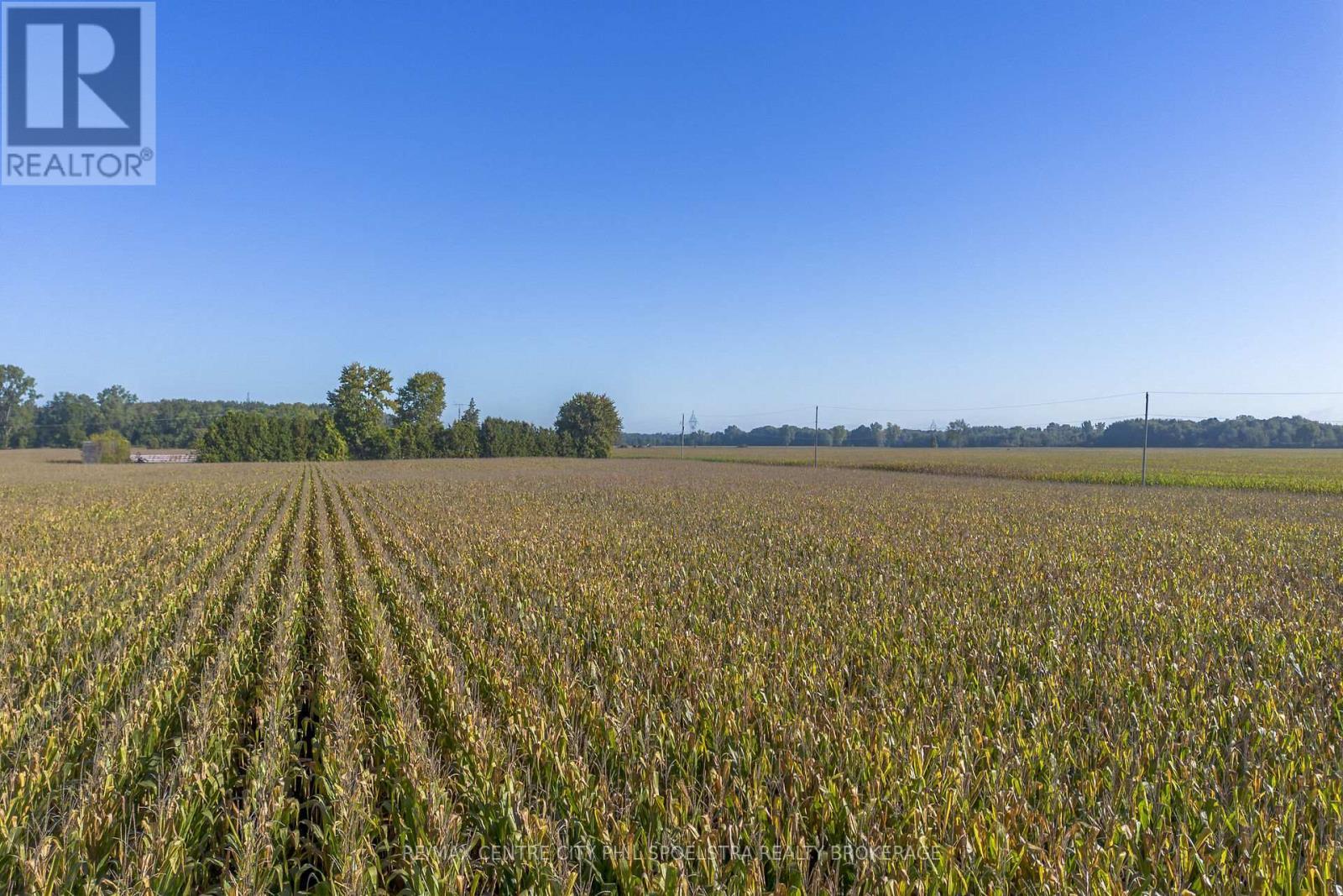 29182 Zone 4 Road, Chatham-Kent (Thamesville), ON