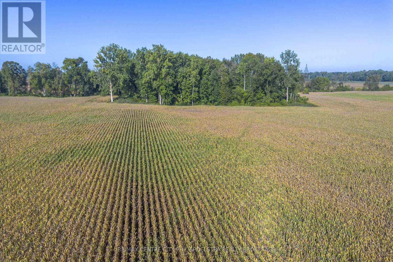 29182 Zone 4 Road, Chatham-Kent (Thamesville), ON