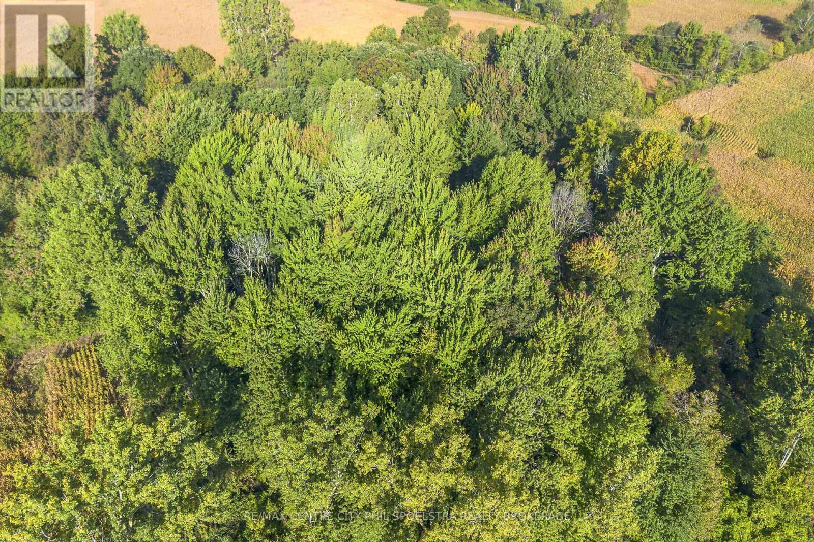 29182 Zone 4 Road, Chatham-Kent (Thamesville), ON