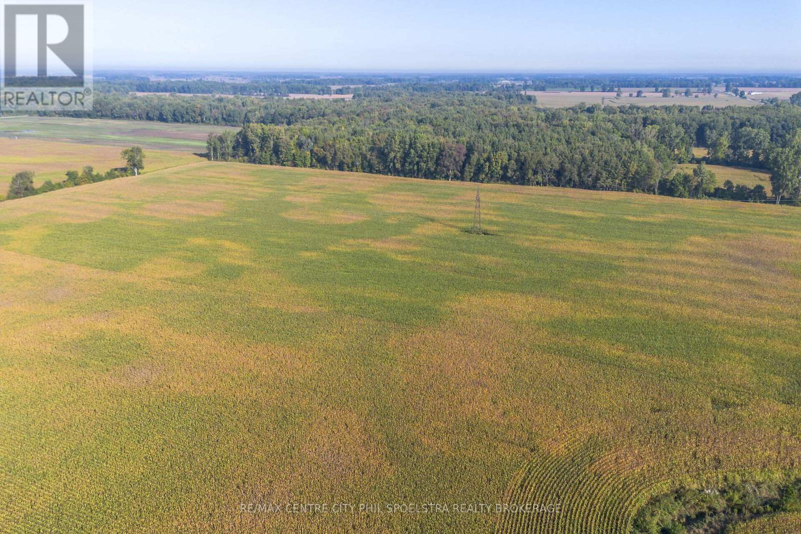 29182 Zone 4 Road, Chatham-Kent (Thamesville), ON