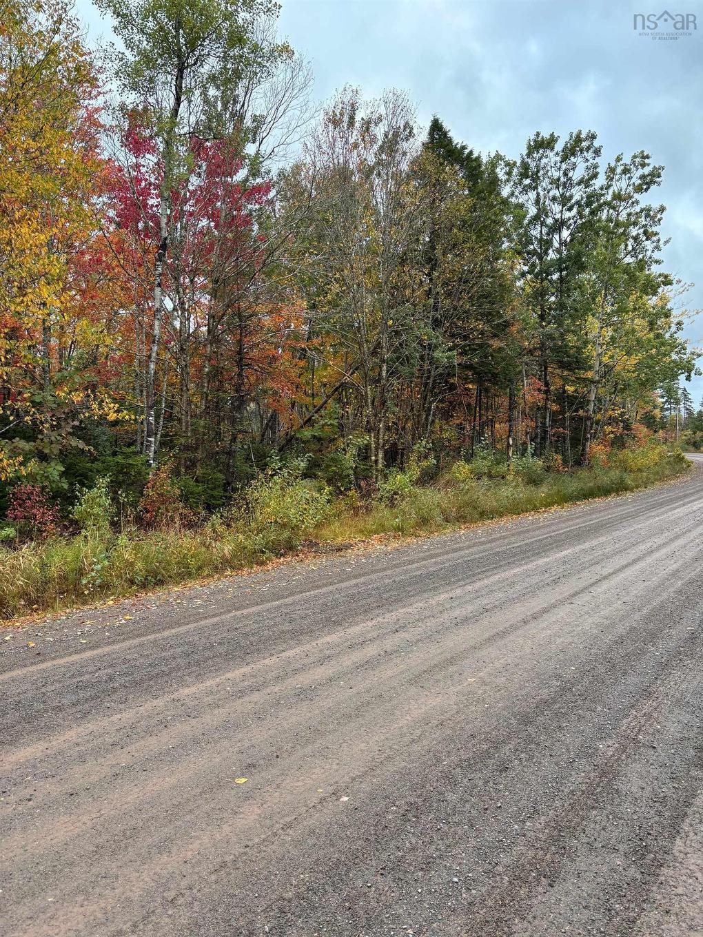 Condon Road, Scotsburn, NS