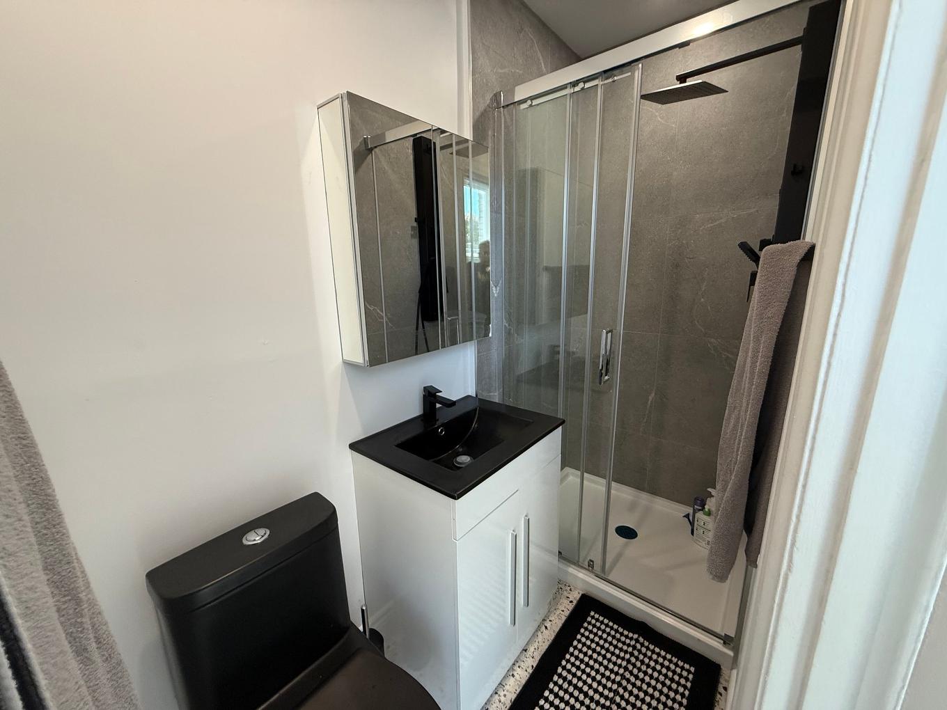 Bathroom - 6627-A Rue De La Roche, Montréal (Rosemont/La Petite-Patrie), QC - Indoor Photo Showing Bathroom