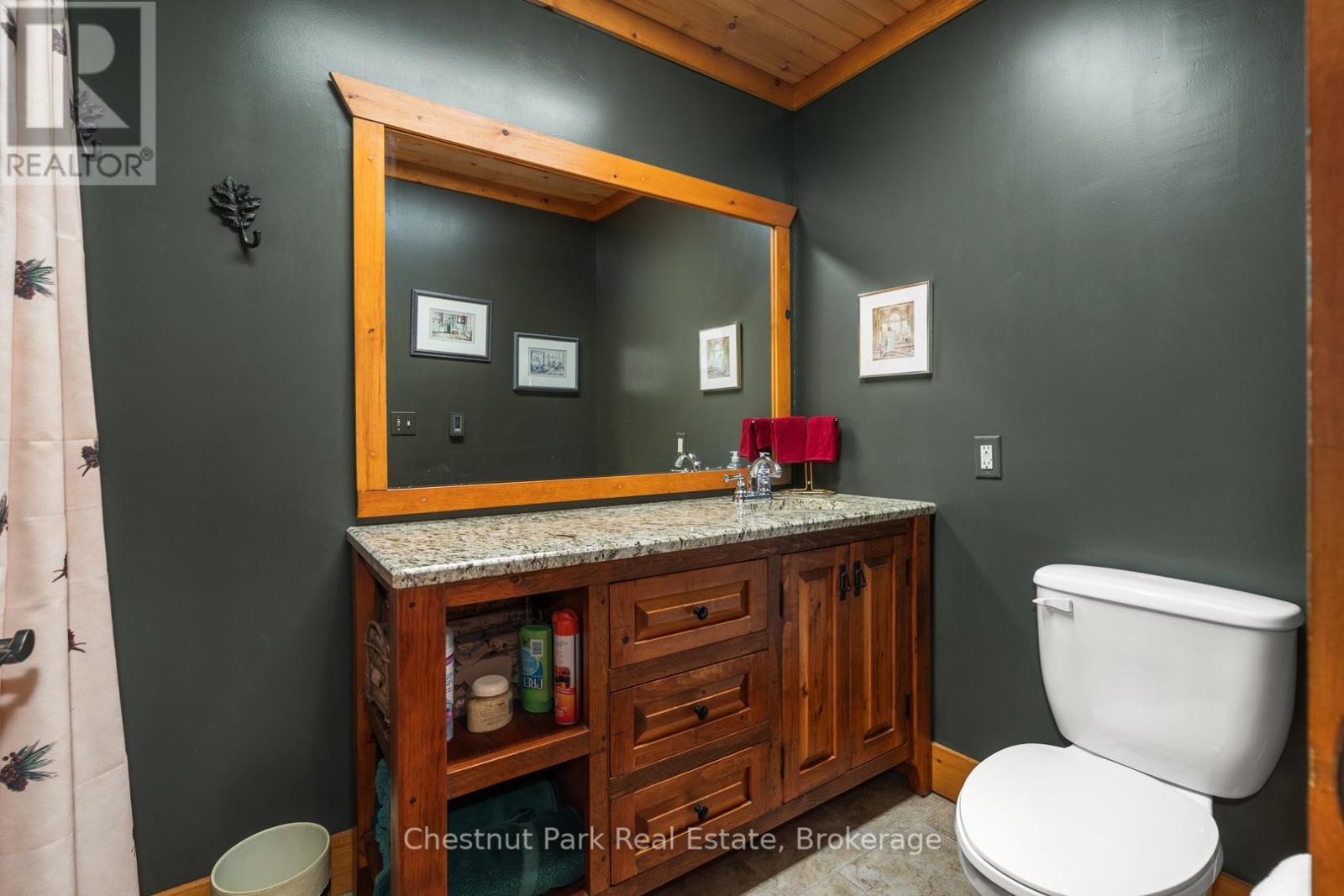 121 Poor Mans Road, Parry Sound Remote Area (Lount), ON - Indoor Photo Showing Bathroom
