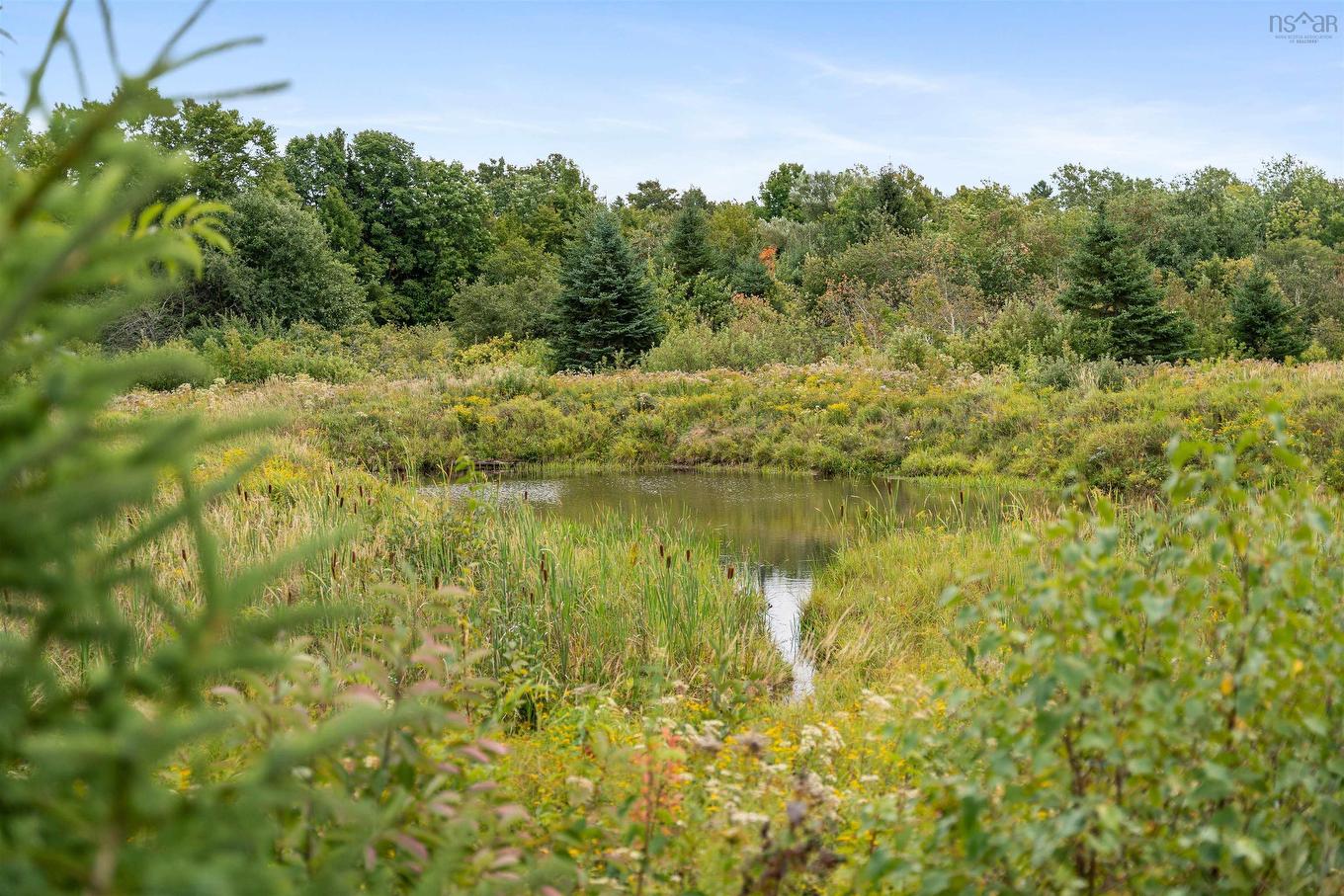 8208/8268 Highway 311, Balfron, NS