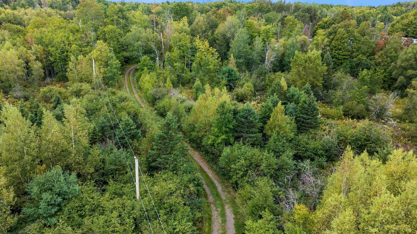 8208/8268 Highway 311, Balfron, NS