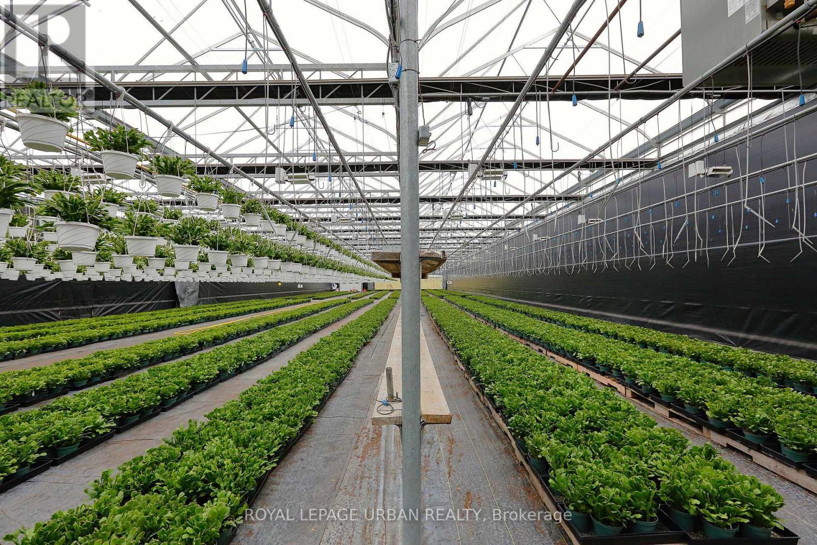 18509-18545 Keele Street, King, ON