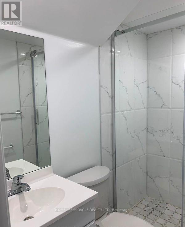 Bsmt - 19 Muscovy Drive, Brampton, ON - Indoor Photo Showing Bathroom