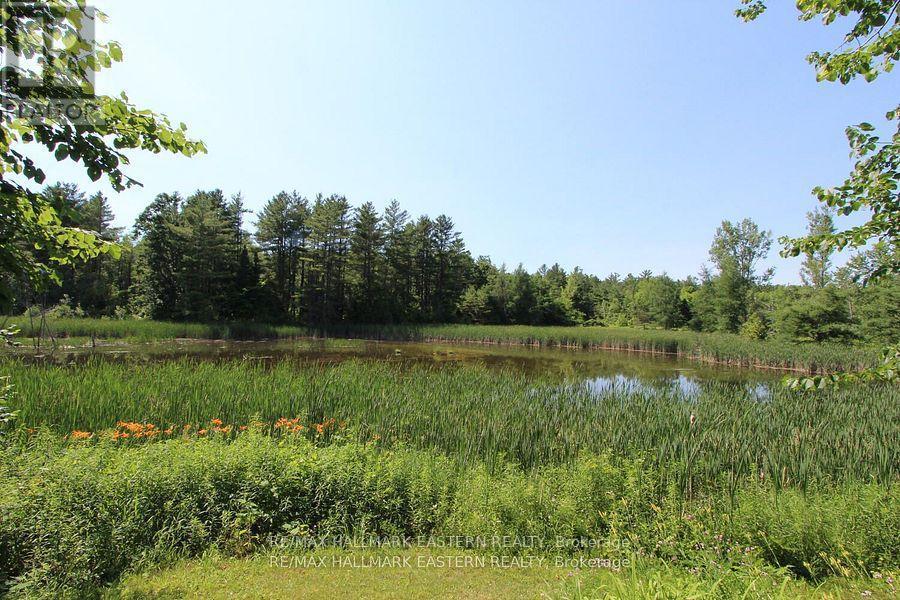 240 Cole Road, Havelock-Belmont-Methuen (Belmont-Methuen), ON - Outdoor With View