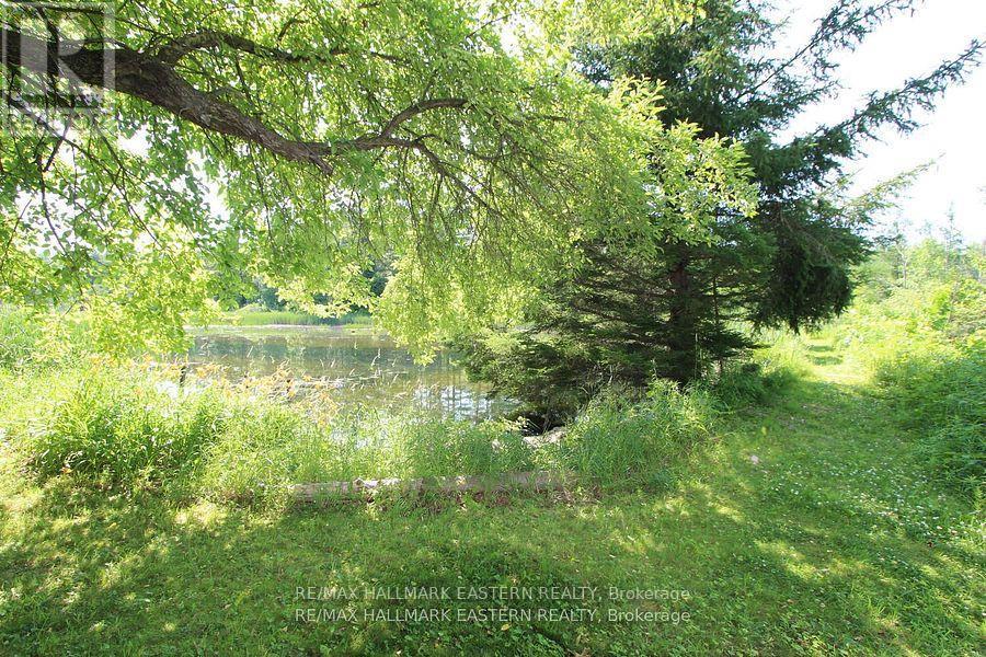 240 Cole Road, Havelock-Belmont-Methuen (Belmont-Methuen), ON - Outdoor