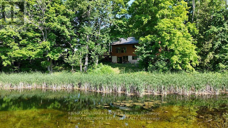 240 Cole Road, Havelock-Belmont-Methuen (Belmont-Methuen), ON - Outdoor