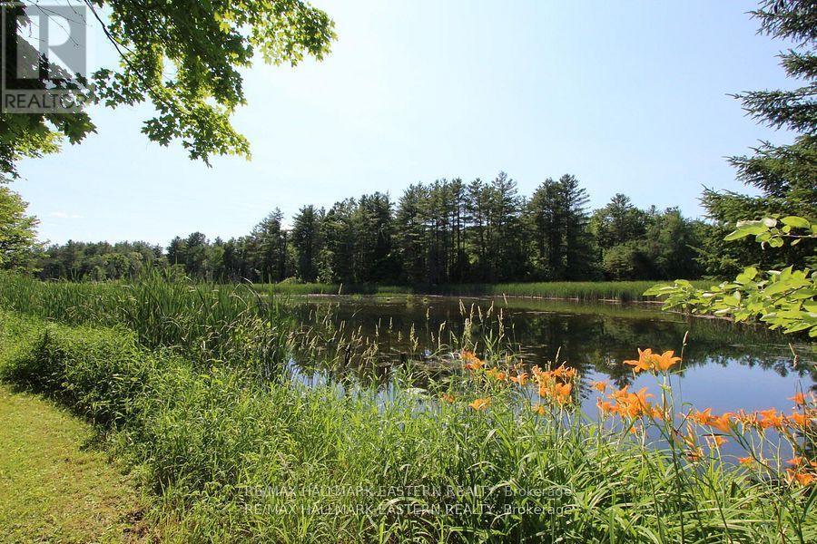 240 Cole Road, Havelock-Belmont-Methuen (Belmont-Methuen), ON - Outdoor With Body Of Water With View
