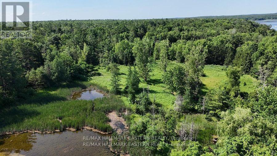 240 Cole Road, Havelock-Belmont-Methuen (Belmont-Methuen), ON - Outdoor With Body Of Water