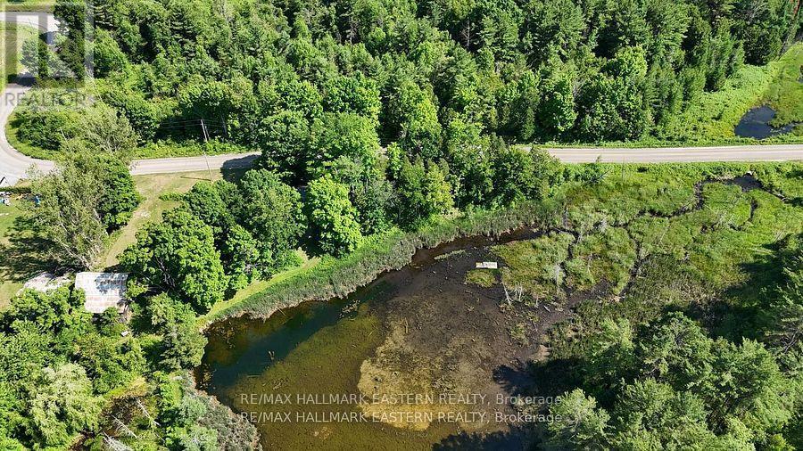 240 Cole Road, Havelock-Belmont-Methuen (Belmont-Methuen), ON - Outdoor With Body Of Water